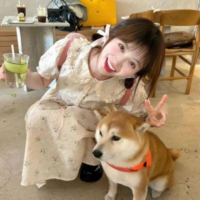 山中森林